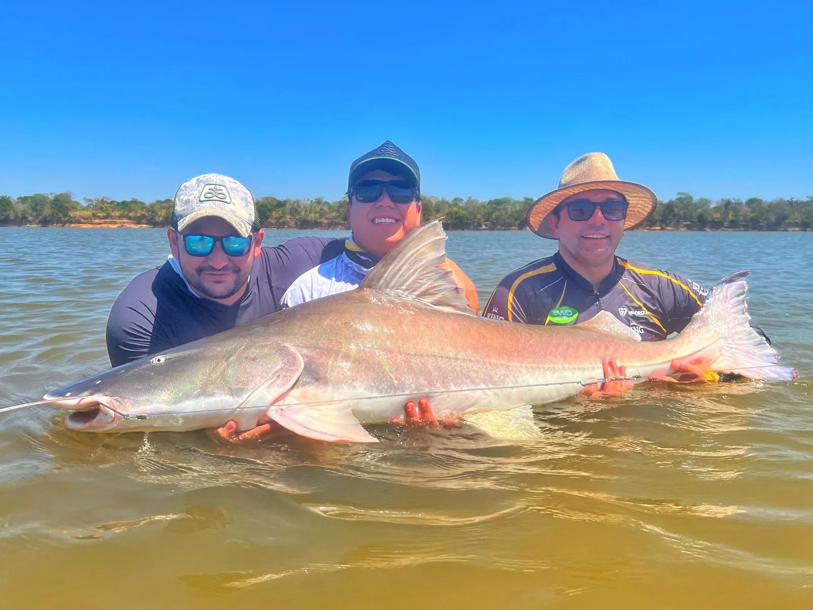 Três pescadores dentro do rio com uma piraíba