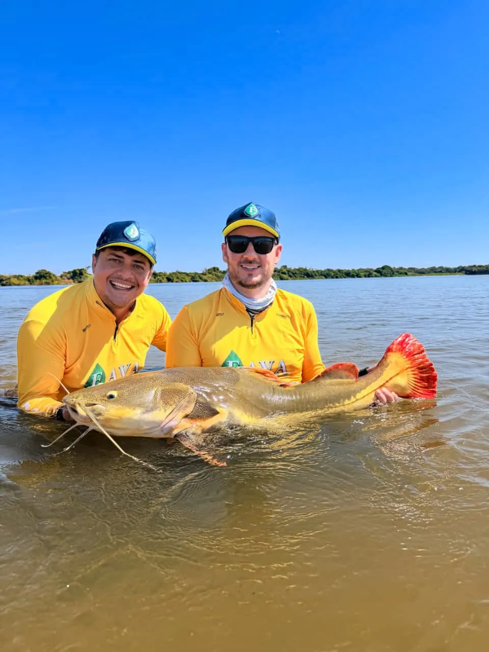 Dois pescadores de camisa amarela dentro do rio com uma pirarara